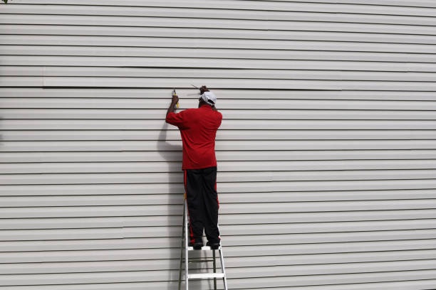 Best Vinyl Siding Installation  in Ballwin, MO