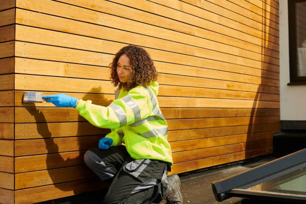 Best Custom Trim and Detailing for Siding  in Ballwin, MO